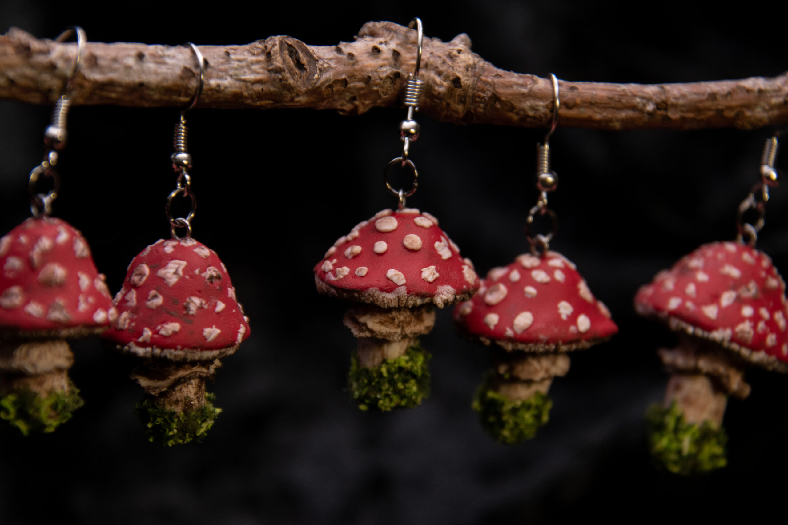 Foggy Forest Shop